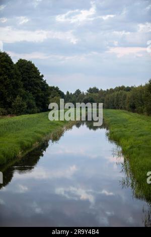 Ein langsam fließender breiter Fluss inmitten üppiger grüner Gräser und hoher Bäume. Stockfoto