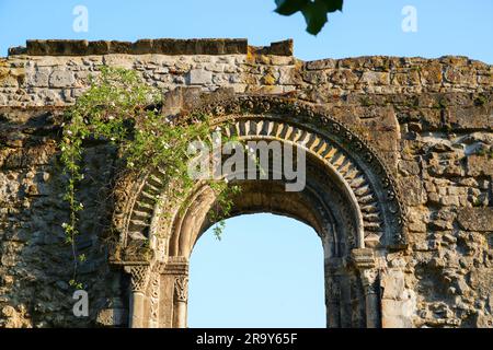 Ruinen einer mittelalterlichen Mauer im Stadtzentrum von Soissons in Aisne, Picardie, Frankreich Stockfoto