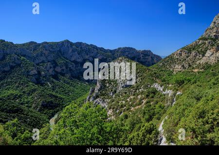 Besichtigung der Verdon-Schlucht in Mayreste Belvedere Var Alpes-de-Haute-Provence Provence-Alpes-Cote d'Azur Frankreich Stockfoto