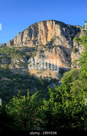 Besichtigung der Verdon-Schlucht in Mayreste Belvedere Var Alpes-de-Haute-Provence Provence-Alpes-Cote d'Azur Frankreich Stockfoto