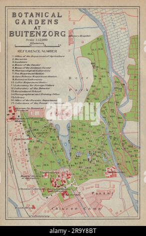 Bogor, West-Java. "Botanischer Garten in Buitenzorg". Indonesien 1917 alte Karte Stockfoto