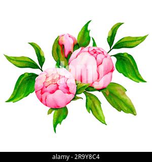 Aquarellkomposition mit pinkfarbenen Pfingstrosen. Botanische Illustration. Hochzeit, Valentinstag, Geburtstag, Jubiläumsdesign. Stockfoto