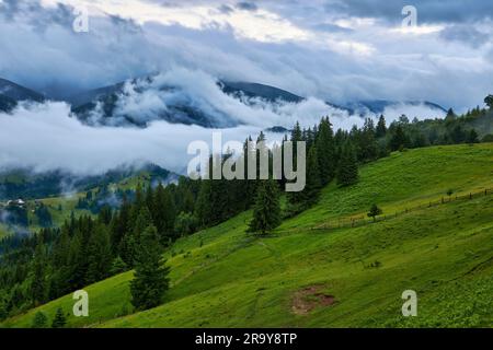 Idyllische Landschaft in den Alpen mit frischen grünen Wiesen und blühenden Blumen und schneebedeckten Berggipfeln im Hintergrund Stockfoto