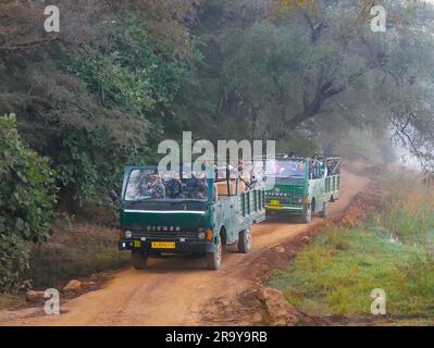 Ranthambore, Indien - 24. Dezember 2022: Touristen genießen Dschungelsafari in einem dichten Wald von Ranthambore. Stockfoto