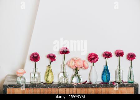 Inneneinrichtung, viele verschiedene Vasen mit Butterblumen auf dem Regal an der weißen leeren Wand Stockfoto