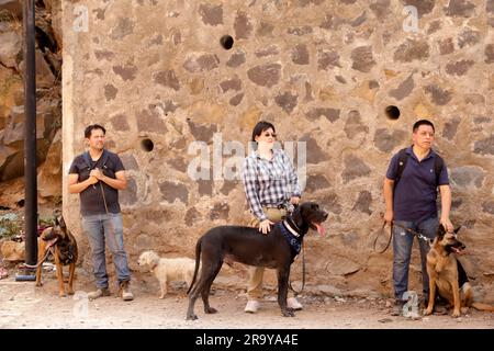 Mexiko-Stadt, Mexiko. 29. Juni 2023. 28. Juni 2023, Mexico City, Mexiko: Hundebesitzer während des kostenlosen Trainings für Begleithunde, um vergrabene oder vermisste Personen im Falle eines Erdbebens oder anderer Unfälle im Rathaus von Tlalpan in Mexico City zu finden. Am 28. Juni 2023 in Mexico City, Mexiko (Foto: Luis Barron/Eyepix Group). Kredit: Eyepix Group/Alamy Live News Stockfoto