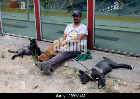 Mexiko-Stadt, Mexiko. 29. Juni 2023. 28. Juni 2023, Mexico City, Mexiko: Hundebesitzer während des kostenlosen Trainings für Begleithunde, um vergrabene oder vermisste Personen im Falle eines Erdbebens oder anderer Unfälle im Rathaus von Tlalpan in Mexico City zu finden. Am 28. Juni 2023 in Mexico City, Mexiko (Foto: Luis Barron/Eyepix Group). Kredit: Eyepix Group/Alamy Live News Stockfoto