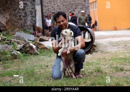 Mexiko-Stadt, Mexiko. 29. Juni 2023. 28. Juni 2023, Mexico City, Mexiko: Hundebesitzer während des kostenlosen Trainings für Begleithunde, um vergrabene oder vermisste Personen im Falle eines Erdbebens oder anderer Unfälle im Rathaus von Tlalpan in Mexico City zu finden. Am 28. Juni 2023 in Mexico City, Mexiko (Foto: Luis Barron/Eyepix Group). Kredit: Eyepix Group/Alamy Live News Stockfoto