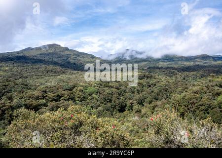 Hoch gelegene Paramo-Landschaft in den östlichen Anden. Kolumbien, Südamerika. Stockfoto