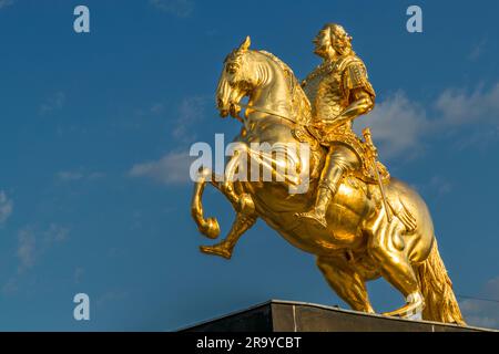 Goldener Reiter, August der starke zu Pferd, König von Polen, Großherzog von Litauen, Kurfürst von Sachsen (1670–1733), die Statue aus echtem Blattgold wird wiederholt Vandalismusangriffen ausgesetzt. Der goldene Reiter ist eine Reiterstatue auf dem Neustädter Markt in Dresden. Der dargestellte sächsische Kurfürst und polnische König August der starke schmückt auch den Dresdner Weihnachtsstollen als Gütesiegel Stockfoto