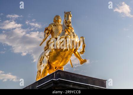 Goldener Reiter, August der starke zu Pferd, König von Polen, Großherzog von Litauen, Kurfürst von Sachsen (1670–1733), die Statue aus echtem Blattgold wird wiederholt Vandalismusangriffen ausgesetzt. Der goldene Reiter ist eine Reiterstatue auf dem Neustädter Markt in Dresden. Der dargestellte sächsische Kurfürst und polnische König August der starke schmückt auch den Dresdner Weihnachtsstollen als Gütesiegel Stockfoto