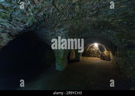 Klosterpark Altzella, Weinkeller in der Klosterruine Altzella. Nossen, Deutschland Stockfoto