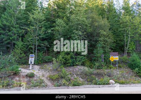 British Columbia, Kanada - 6. AUGUST 2022: Eine Telus-Telefonzelle an der Seite einer Dirt National Forest Road in British Columbia, Kanada. Stockfoto