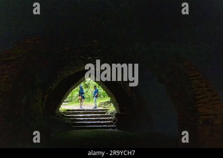 Blick vom Weinkeller im Klosterpark Altzella. Die Klosterruine Altzella bei Dresden war ein beliebtes Wanderziel und Zeichenmotiv für Caspar David Friedrich. Nossen, Deutschland Stockfoto