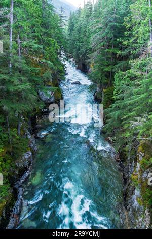 Der wunderschöne Seymour River fließt durch Lower BC, Kanada Stockfoto