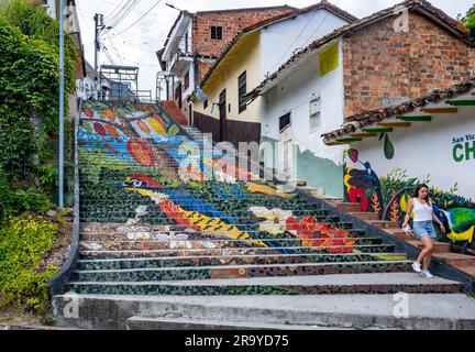 Farbenfrohes Mosaik auf den Stufen von San Vincente de Chucuri, das die reiche Fauna und Flora der Anden darstellt. Kolumbien, Südamerika. Stockfoto