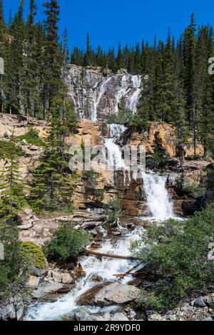 Die wunderschönen Tangle Falls fließen entlang des Icefields Parkway im Jasper National Park, Kanada Stockfoto