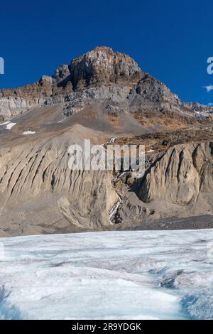 Columbia Icefield, Gletscher am Icefields Parkway, Jasper, Alberta, Kanada Stockfoto