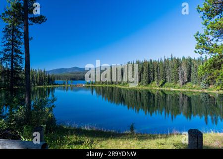 Ein ruhiger Morgen am See im William a Switzer Provincial Park, Alberta, Kanada Stockfoto