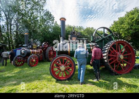 Dene Rally Steam and Vintage Show, 10. Jahrestag der Rallye im Juni 2023, Hampshire, England, Großbritannien. Leute, die auf Triebwerke schauen Stockfoto