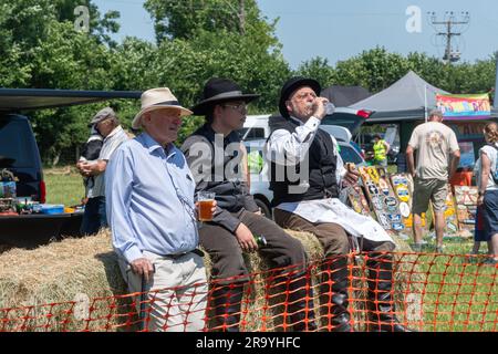 Dene Rally Steam and Vintage Show, Besucher, die Arena-Events anlässlich des 10. Jahrestages der Rallye im Juni 2023 in Hampshire, England, Großbritannien, verfolgen Stockfoto