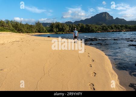 Gereifter Weißer, Wanderer, weit entfernt, spazieren entlang eines Sandstrands in der Nähe von vulkanischen Lavafelsen im Ozean und einer Bergszene im Hintergrund, Mahaulepu Stockfoto