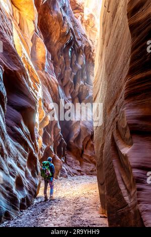 Ein Wanderer steht und schaut auf die geschwungenen Wände eines Slot Canyon, während sie von sanften reflektierenden Lichtern beleuchtet werden, Buckskin Gulch, Vermilion Cliffs Wild Stockfoto