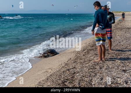 Die Insel Lefkada. Griechenland - 06.21.2023. Touristen schauen auf eine tote Karettschildkröte am Strand. Stockfoto