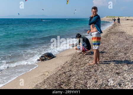 Die Insel Lefkada. Griechenland - 06.21.2023. Touristen schauen auf eine tote Karettschildkröte am Strand. Stockfoto