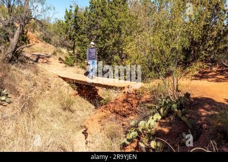 Ein erwachsener weißer Mann, der auf einer Holzplanke über einen trockenen Bach spaziert und eine Dirt-Trai-Straße entlang läuft, rechts, Kiowa Trail, Palo Duro State Park, Texas Stockfoto