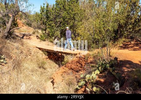 Ein erwachsener weißer Mann, der auf einer Holzplanke über einen trockenen Bach spaziert und an einer Dirt-Trai-Straße links entlang geht, Kiowa Trail, Palo Duro State Park, Texas Stockfoto