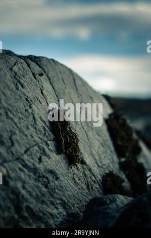 Atemberaubende Felsenpools am Arisaig Beach im schottischen Hochland Stockfoto