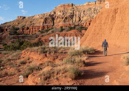 Ein Mann, ein Wanderer, ein Mensch, der auf einem unbefestigten Pfad neben einer Schlammklippe am Rande eines Berges, Givens Spicer Lowry Trail, Palo Duro State Park, Texas, spaziert Stockfoto