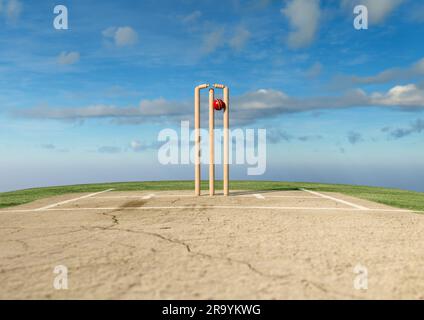 Ein roter Cricket-Ball mit Holzkricket-Wickets mit beweglichen Grillen am Tageshimmel – 3D-Rendering Stockfoto