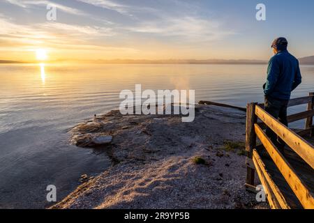 Reifer Mann, Besucher, beobachten einen Dampf, der aus einem Geysir auf einer kleinen Halbinsel aufsteigt, die sich in einen See erstreckt, Big Cone Geyser, West Thumb Geyser Stockfoto