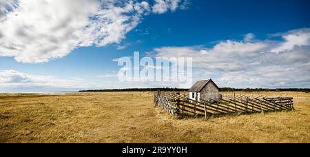 Eingezäunte Hütte in einer ruhigen Landschaft unter bewölktem Himmel, Insel Gotland, Schweden. Stockfoto