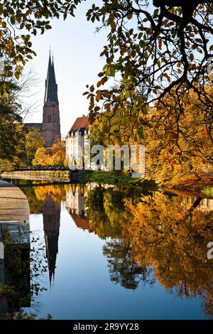 Die Kathedrale und die Herbstbäume spiegeln sich in der Ruhe und Stille des Flusses Fyris wider. Uppsala, Schweden. Stockfoto