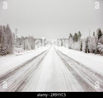 Friedliche Aufnahme der Winterstraße entlang der Bäume unter klarem Himmel Stockfoto