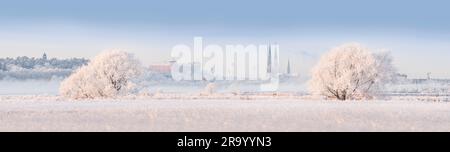 Ländlicher Winterblick auf die Skyline der Stadt mit Schnee und Hoar Frost. Uppsala, Schweden. Stockfoto