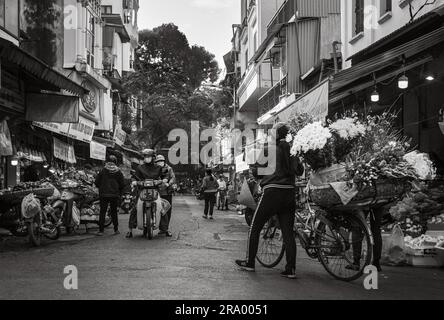 Eine Blumenverkäuferin schiebt ihr beladenes Fahrrad an Geschäften in Cau Go vorbei, innerhalb der Altstadt von Hanoi, Vietnam. Stockfoto