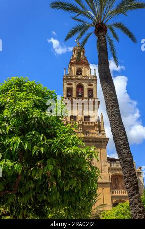 Glockenturm Minarett, Cordoba Moschee Stockfoto