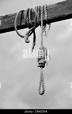 Eine vertikale Graustufenaufnahme einer Seilschlinge, die an einem Holzzaun hängt Stockfoto