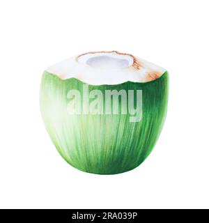 Aquarelle Darstellung einer grünen Kokosnuss. Frische, reife Früchte auf weißem Hintergrund Strandcocktail mit Stroh für Cocktail isoliert auf weißem Hintergrund Stockfoto