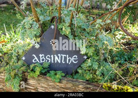 Absinth (Absinth) Name auf einem Schiefergestell in einem Garten in Frankreich Stockfoto