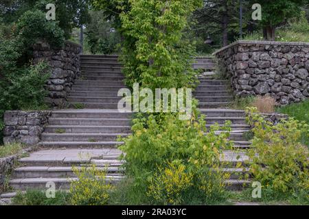 Zwei Treppen nebeneinander in Bäumen, zwischen Steinmauern. Vorderansicht Stockfoto
