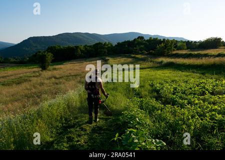 Ein Mann mäht an einem Sommertag bei Sonnenuntergang im goldenen Sonnenlicht Gras um seinen Gemüsegarten auf dem Feld Stockfoto