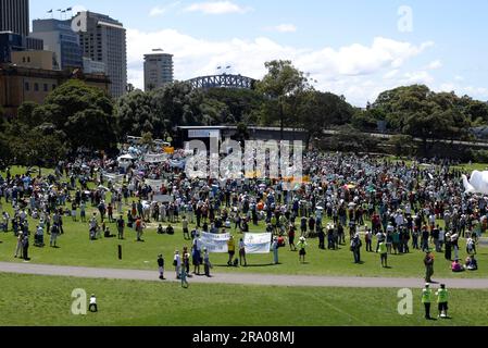 Zwei Wochen vor den nationalen Wahlen am 24. November findet in Sydney ein „Walk Against Warming“ statt, der vom Naturschutzrat organisiert wird, um Politiker auf die Sorgen der Gemeinschaft über den Klimawandel aufmerksam zu machen. The Domain, Sydney, Australien. 11.11.07. Stockfoto