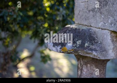 Detail einer Säule des Horreos von Lira, Galicien Stockfoto