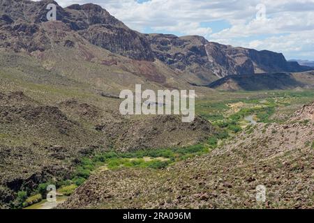 Der Rio Grande River schlängelt sich im Frühling durch das üppige Tal in der Chihuahuan Desert im Big Bend Ranch State Park Stockfoto