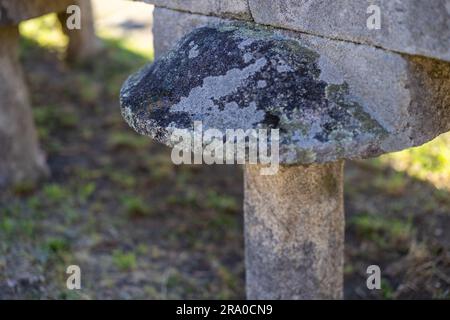 Detail einer Säule des Horreos von Lira, Galicien Stockfoto